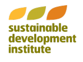 Logo SDI